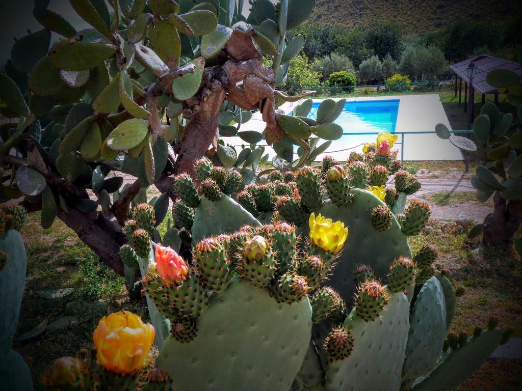 Agriturismo Timpa Del Sole Villa Ното Екстериор снимка